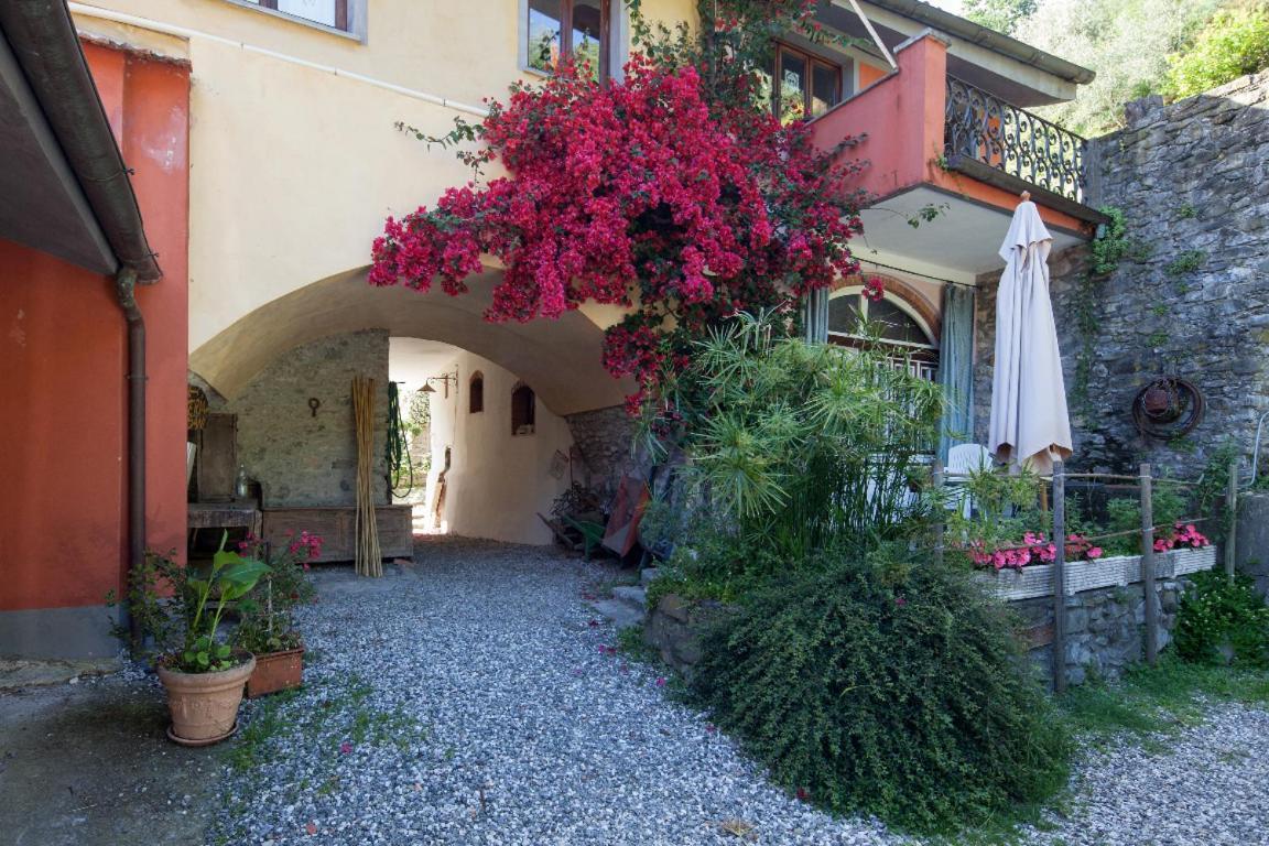 Il Borgo Della Colomba Villa Fosdinovo Exterior photo
